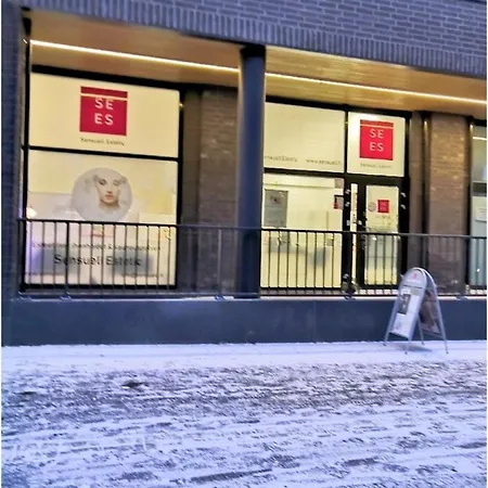 Loft Next To Train Station & Close To Airport Vantaa